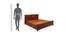 Sophia Queen Bed With Box Storage (Walnut Finish, Queen Bed Size) by Urban Ladder - Design 1 Dimension - 358503