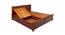 Sophia Queen Bed With Box Storage (Walnut Finish, Queen Bed Size) by Urban Ladder - Image 1 Design 1 - 358512