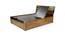 Texas King Bed With Storage (Walnut Finish, King Bed Size) by Urban Ladder - Rear View Design 1 - 358531