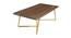 Maize Coffee Table - Gold (Gold, Powder Coating Finish) by Urban Ladder - Front View Design 1 - 358704