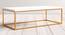Tarn Coffee Table - Gold - Rectangle (Gold, Powder Coating Finish) by Urban Ladder - Front View Design 1 - 358762