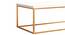 Tarn Coffee Table - Gold - Rectangle (Gold, Powder Coating Finish) by Urban Ladder - Design 1 Close View - 358765
