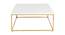 Tarn Coffee Table - Gold - Square (Gold, Powder Coating Finish) by Urban Ladder - Front View Design 1 - 358769