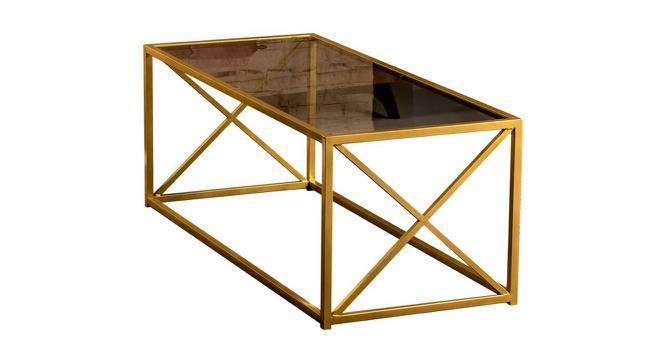 Trenton Coffee Table - Gold (Gold, Powder Coating Finish) by Urban Ladder - Cross View Design 1 - 358773