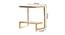 Healy Side & End Table - Gold (Gold, Powder Coating Finish) by Urban Ladder - Design 1 Dimension - 359118