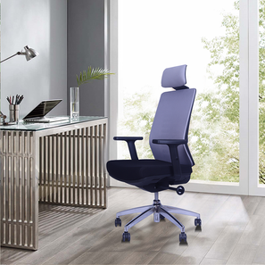 Study In Palamner Design Spine Metal Study Chair With Headrest in Grey Colour