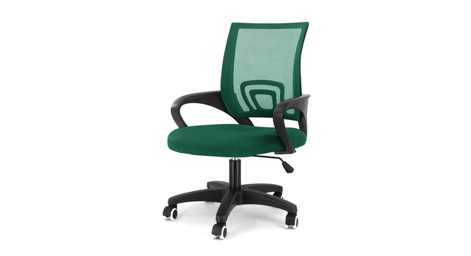 Teana Study Chair - Green (Green) by Urban Ladder - Front View Design 1 - 359344