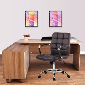 Study Chair Design Tulipa Leatherette Study Chair in Brown Colour