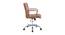 Tulipa Study Chair - Tan (Tan) by Urban Ladder - Front View Design 1 - 359374