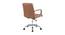 Tulipa Study Chair - Tan (Tan) by Urban Ladder - Rear View Design 1 - 359375