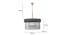 Celeste Chandelier (Black) by Urban Ladder - - 