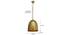Zaden Pendant (Brass) by Urban Ladder - - 