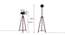 Barbara Floor Lamp (Black Base Finish) by Urban Ladder - - 