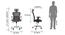 Venturi Study Chair-3 Axis Adjustable (Ash Grey) by Urban Ladder - - 