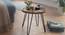 Fleming Side Table (Semi Gloss Finish, Honey Oak) by Urban Ladder - Rear View Design 1 - 361852