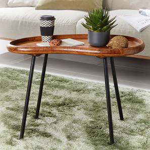 woodenmood Florent Solid Wood Side Table in Semi Gloss Honey Oak Finish-picture-20