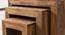 Elliot Side Table (Semi Gloss Finish, Honey Oak) by Urban Ladder - Design 1 Side View - 361896