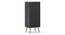 Gatsby Tall Chest of Drawer (Black) by Urban Ladder - Rear View Design 1 - 361947