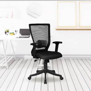 Office Chairs Design Majesty Plastic Study Chair in Black Colour