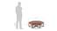 Hexa Coffee Table (Walnut Finish) by Urban Ladder - Design 1 Dimension - 362177