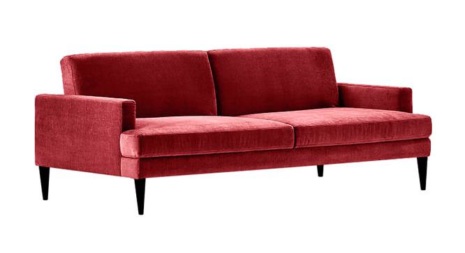 Zoya Sofa Cum Bed (Maroon) by Urban Ladder - Front View Design 1 - 363247