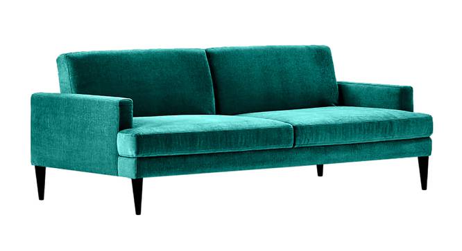 Zoya Sofa Cum Bed (Green) by Urban Ladder - Front View Design 1 - 363254