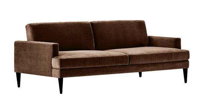 Zoya Sofa Cum Bed (Brown) by Urban Ladder - Front View Design 1 - 363266