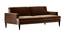 Zoya Sofa Cum Bed (Brown) by Urban Ladder - Front View Design 1 - 363266