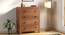 Walter Chest Of Four Drawers (Amber Walnut Finish) by Urban Ladder - Full View Design 1 - 364072