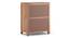 Walter Chest Of Four Drawers (Amber Walnut Finish) by Urban Ladder - Rear View Design 1 - 364076