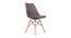 Kourtney Lounge Chair (Brown, Plastic Finish) by Urban Ladder - Cross View Design 1 - 365771