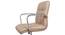 Wystan Study Chair (Brown) by Urban Ladder - Rear View Design 1 - 366031