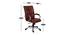 Chappell Study Chair (Brown) by Urban Ladder - Design 1 Dimension - 366422