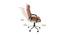 Willey Study Chair (Brown) by Urban Ladder - Rear View Design 1 - 366501