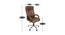 Willey Study Chair (Brown) by Urban Ladder - Design 1 Dimension - 366538