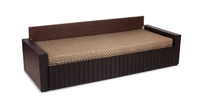 Beverley Sofa cum Bed (Beige & Brown, Beige & Brown Finish) by Urban Ladder - Front View Design 1 - 366640