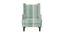 Brighton Lounge Chair (Matte Finish, Green Stripes Pattern) by Urban Ladder - Front View Design 1 - 366646