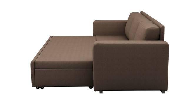 Tribeca Sofa cum Bed (Brown, Brown Finish) by Urban Ladder - Front View Design 1 - 366821
