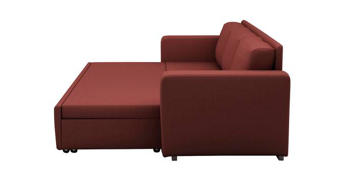 Tribeca Sofa cum Bed (Rust, Rust Finish) by Urban Ladder - Front View Design 1 - 366825