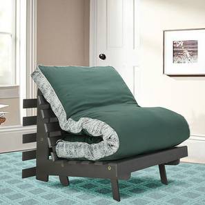 Futon Design Wingate Futon Sofa cum Bed in Green Colour