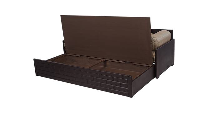 Ditmas Sofa cum Bed (Beige & Brown, Beige & Brown Finish) by Urban Ladder - Front View Design 1 - 366931
