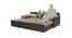 Ditmas Sofa cum Bed (Beige & Brown, Beige & Brown Finish) by Urban Ladder - Design 1 Side View - 366933