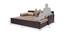 Ditmas Sofa cum Bed (Beige & Brown, Beige & Brown Finish) by Urban Ladder - Design 1 Dimension - 366935