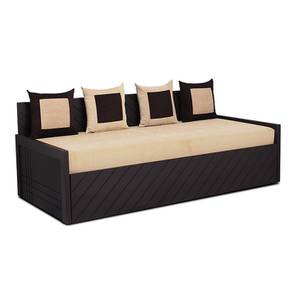 Bedroom Furniture In Tiruppur Design Carolina Sofa cum Bed (Wenge Finish, Cream)