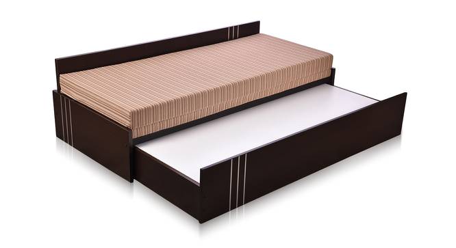 Amal Sofa cum Bed (Wenge Finish, Beige) by Urban Ladder - Front View Design 1 - 366957