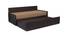 Calliope Sofa cum Bed (Wenge Finish, Brown) by Urban Ladder - Front View Design 1 - 366961
