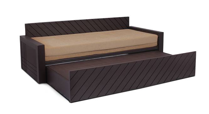 Cleo Sofa cum Bed (Wenge Finish, Brown) by Urban Ladder - Front View Design 1 - 367029