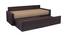 Cleo Sofa cum Bed (Wenge Finish, Brown) by Urban Ladder - Front View Design 1 - 367029