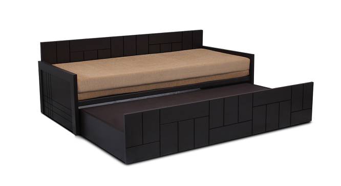 Colette Sofa cum Bed (Wenge Finish, Brown) by Urban Ladder - Front View Design 1 - 367030