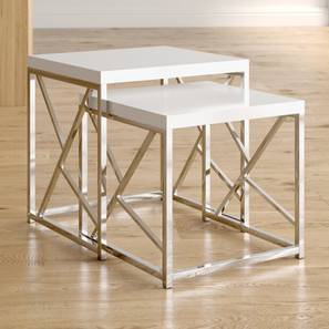 Furncasa Design Samuel Metal Side Table in Stainless Steel Finish